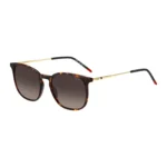 Havana sunglasses with gold-tone temples